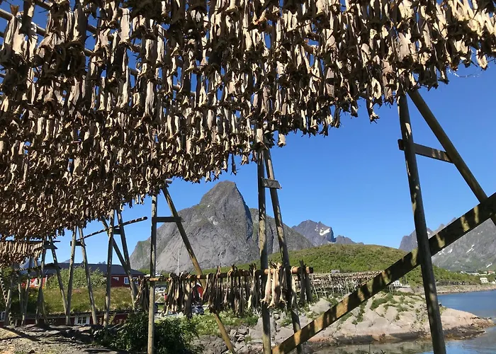 Chaleter Superior Lofoten